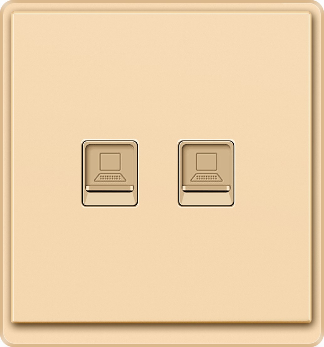 RJ45/CAT DATE Socket
